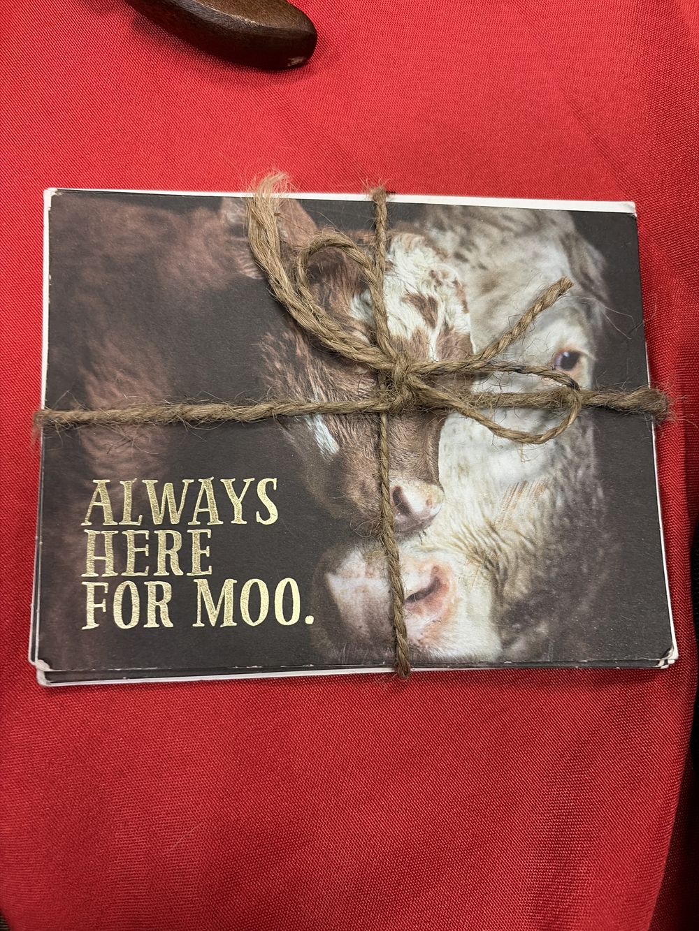 Rustic Cow "Always Here for Moo" Note Card Set - Brown